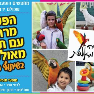 מופע תוכים מאולפים