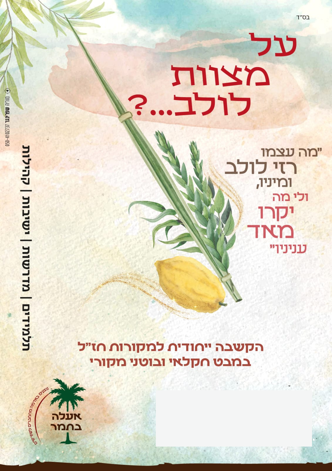 עיצוב ללא שם (49)