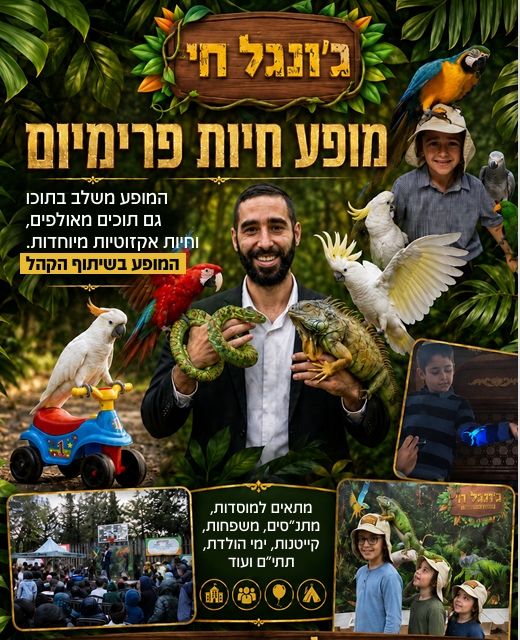 תמונה 1